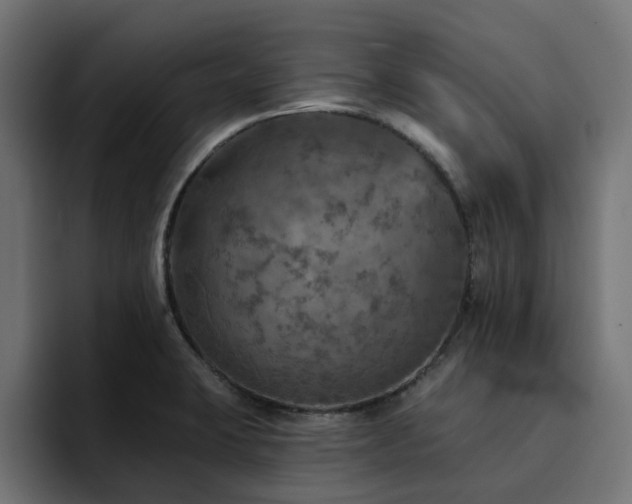 X0000094461423200711081316