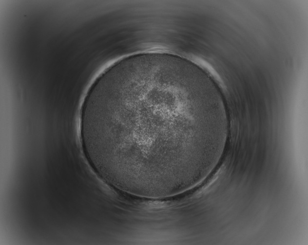 X0000094461424200711081316