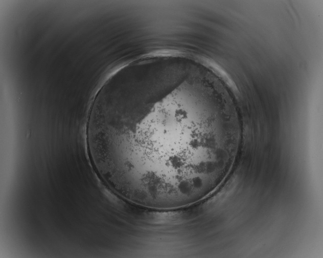 X0000094461425200711081316