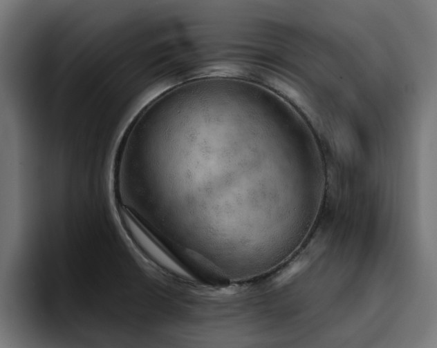 X0000094461426200711081316