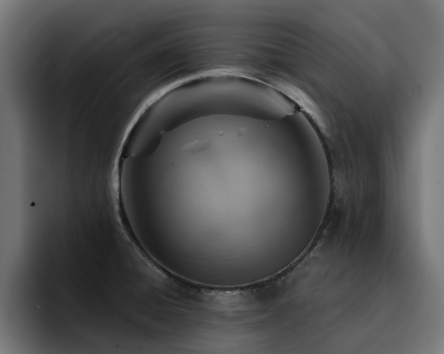 X0000094461428200711081316