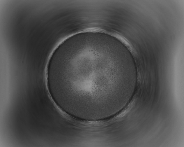 X0000094461430200711081316