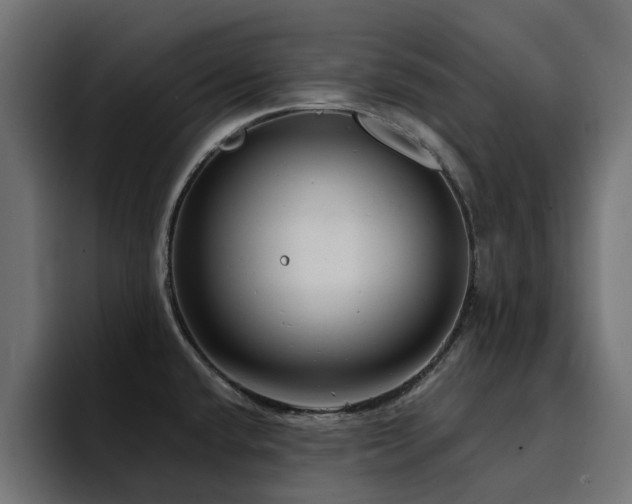 X0000094461432200711081316