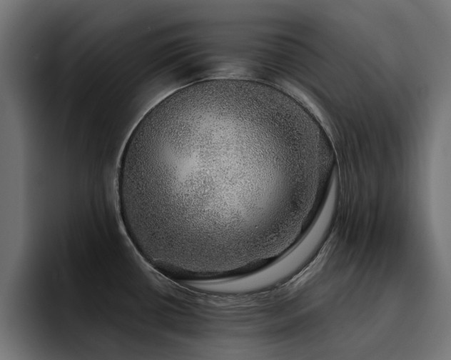 X0000094461434200711081316