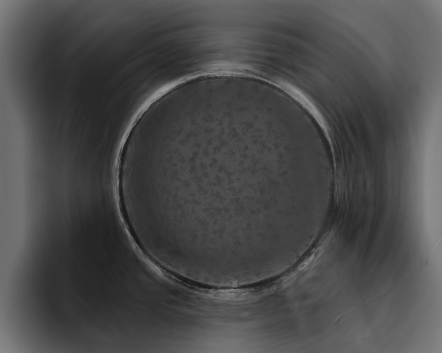 X0000094461437200711081316