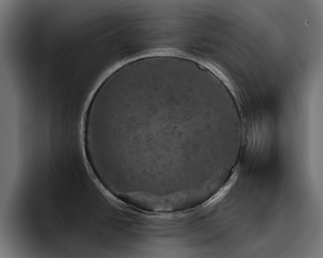 X0000094461438200711081316
