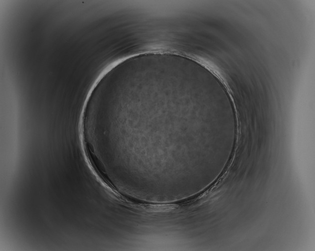 X0000094461440200711081316