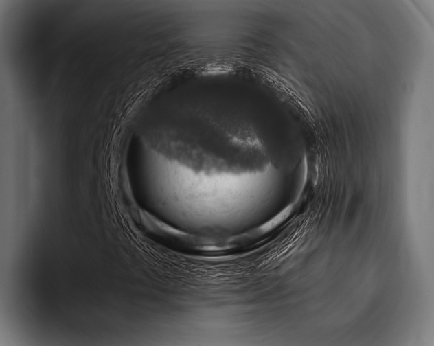 X0000094461441200711081316
