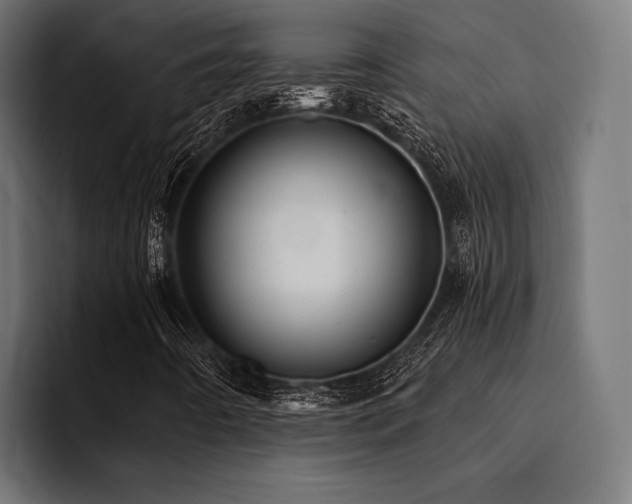 X0000094461442200711081316