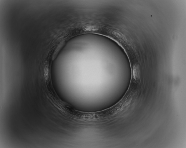 X0000094461444200711081316