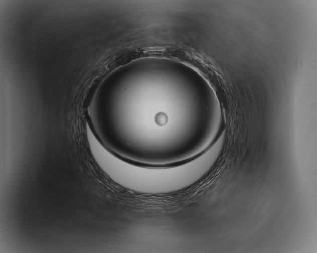 X0000094461445200711081316