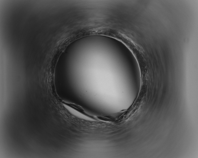 X0000094461447200711081316