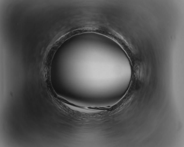 X0000094461448200711081316