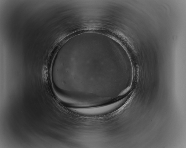 X0000094461449200711081316