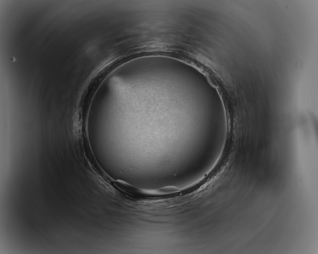 X0000094461450200711081316