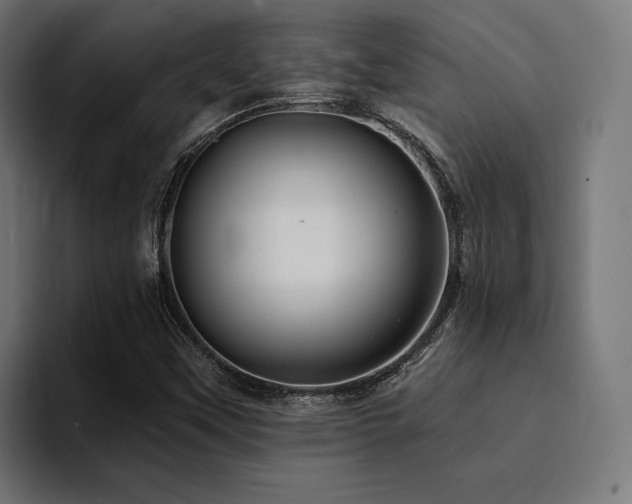 X0000094461451200711081316