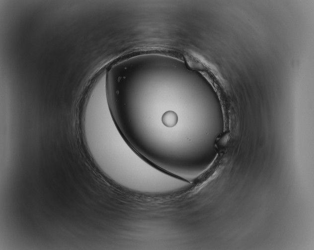 X0000094461453200711081316