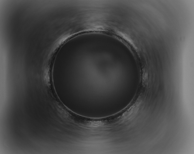 X0000094461455200711081315