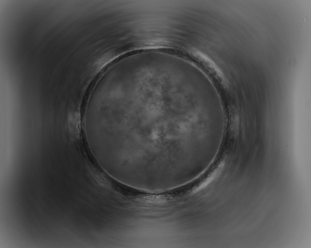 X0000094461457200711081315