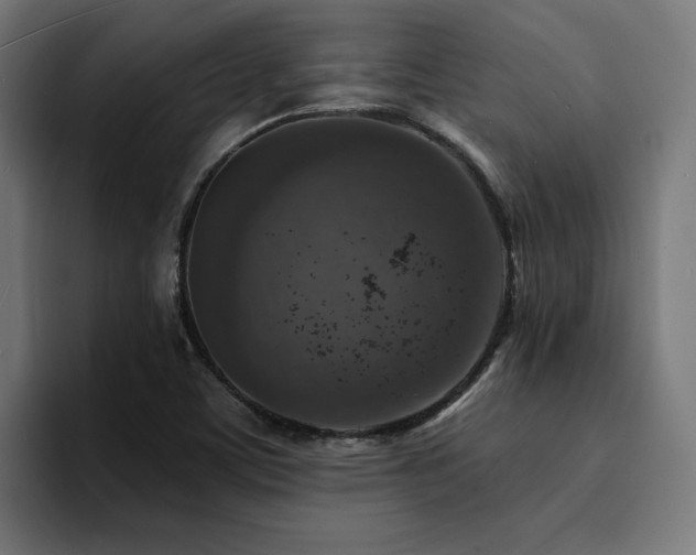 X0000094461459200711081315