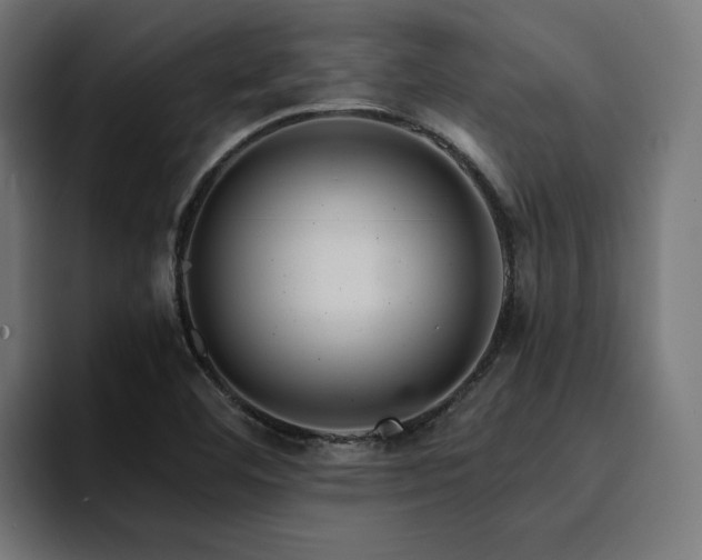 X0000094461460200711081315