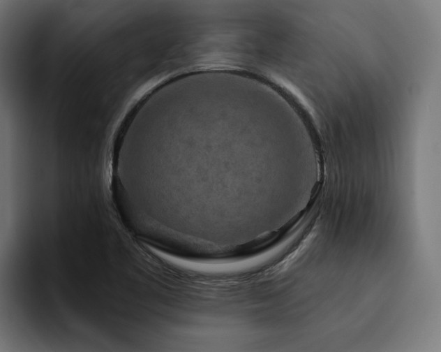X0000094461461200711081315