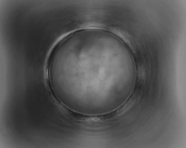 X0000094461462200711081315