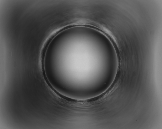 X0000094461464200711081315