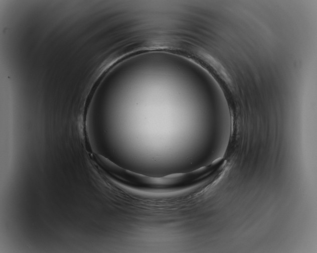 X0000094461465200711081315