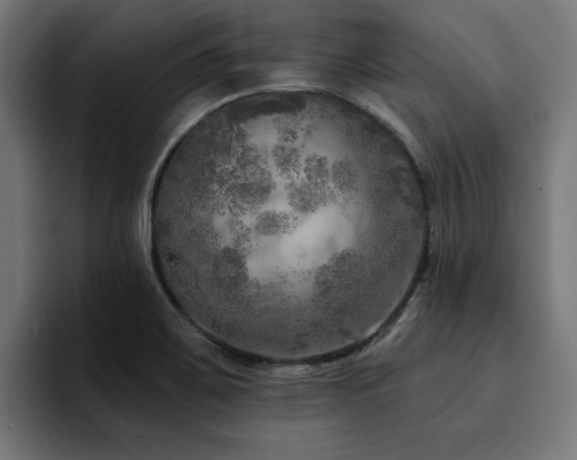X0000094461467200711081315