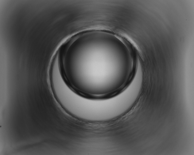 X0000094461468200711081315