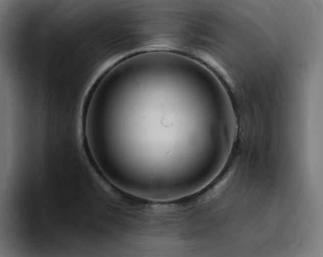 X0000094461469200711081315