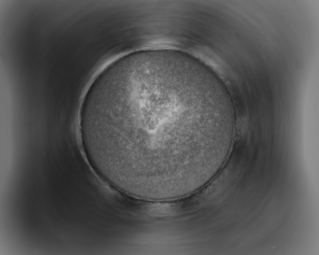 X0000094461470200711081315