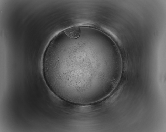 X0000094461471200711081315