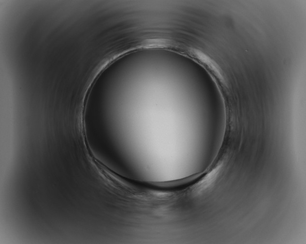 X0000094461473200711081315