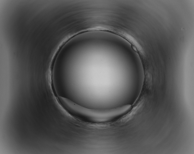 X0000094461476200711081315