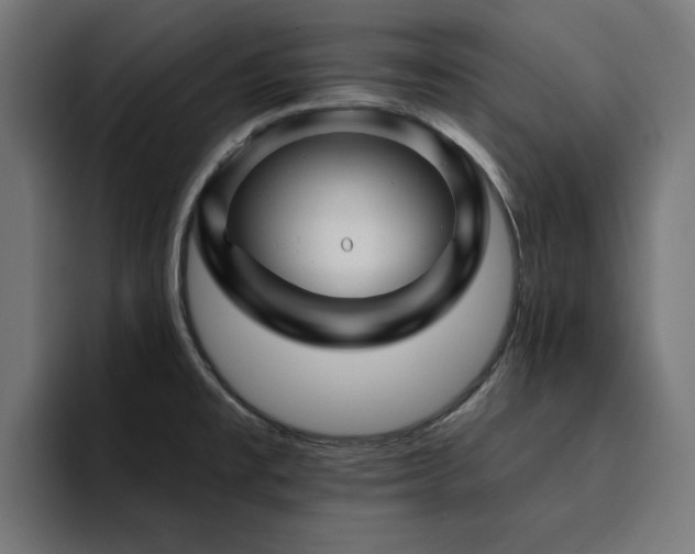 X0000094461477200711081315