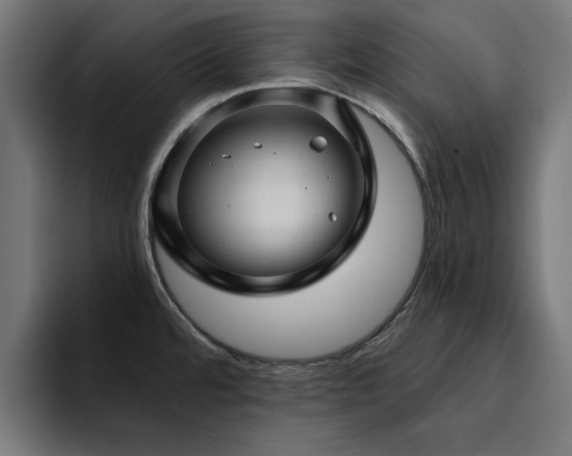 X0000094461480200711081315