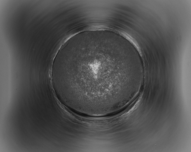X0000094461481200711081315