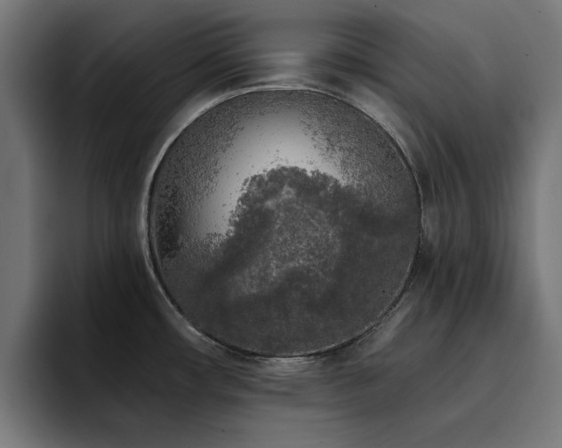 X0000094461482200711081315