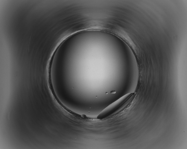 X0000094461483200711081315