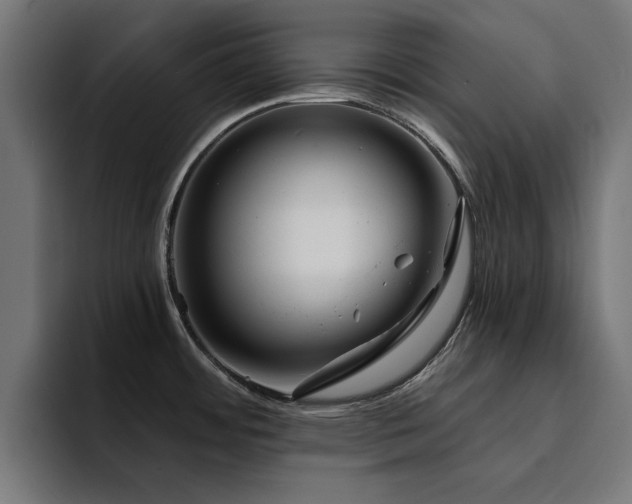 X0000094461484200711081315