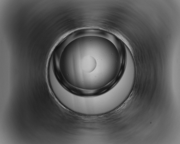 X0000094461485200711081315