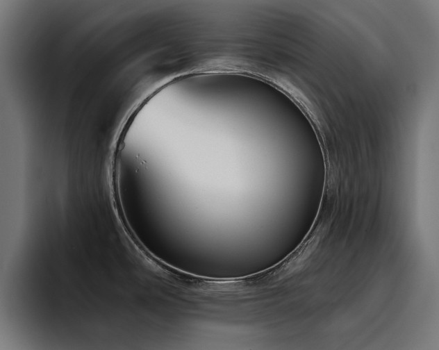 X0000094461486200711081315