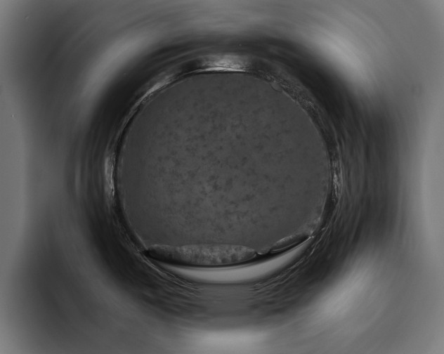 X0000094461487200711081315