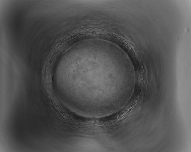 X0000094461489200711081314