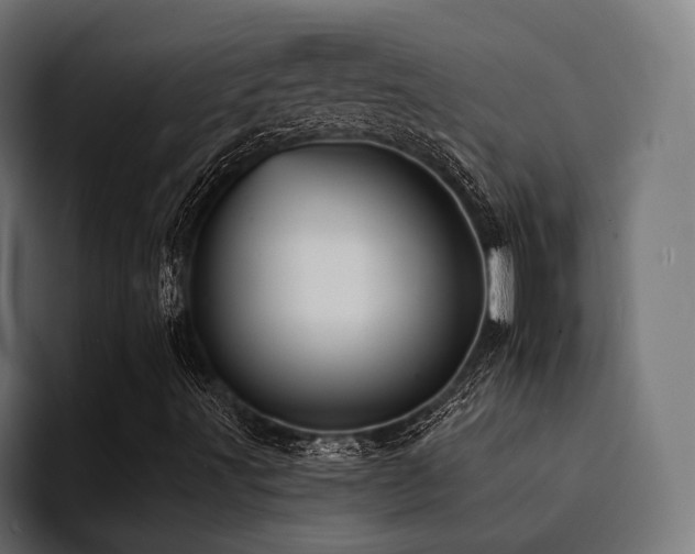 X0000094461491200711081314