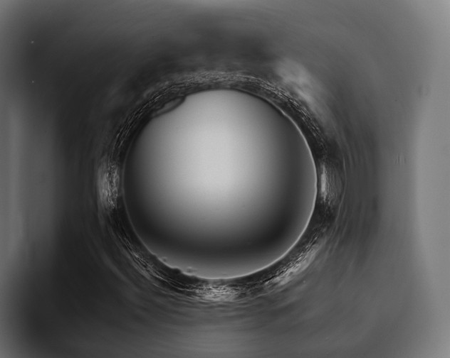 X0000094461492200711081314