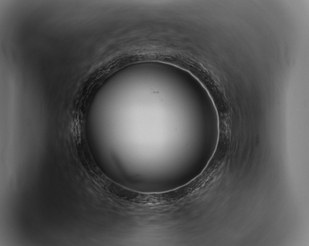 X0000094461493200711081314