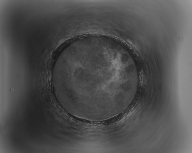 X0000094461494200711081315